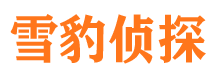 共青城情人调查